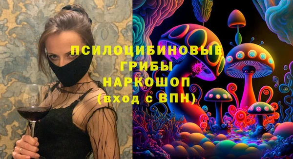 МДПВ Волоколамск