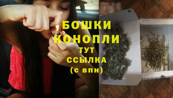 МДПВ Волоколамск