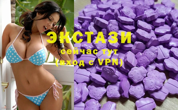 прущие грибы Вязьма